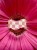 thumbnail_IMG_6885.jpg