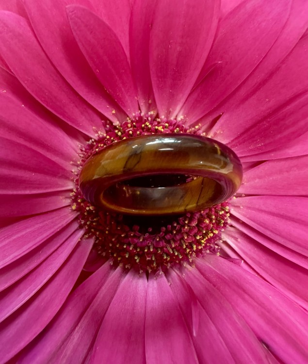 IMG_6942.jpg